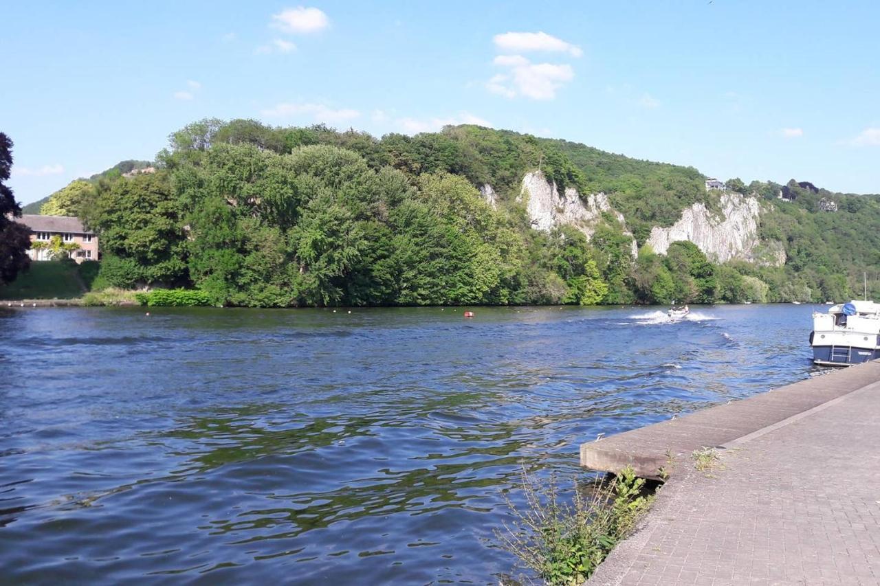 Vue Sur Meuse Lägenhet Profondeville Exteriör bild